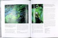 PLANERA DIN TR&Auml;DG&Aring;RD &ndash; anl&auml;ggning och v&auml;xtval