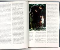 JAKT MED DRIVANDE SM&Aring;HUNDAR &ndash; Drever, beagle, tax & basset