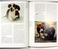 JAKT MED DRIVANDE SM&Aring;HUNDAR &ndash; Drever, beagle, tax & basset