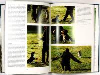 JAKT MED DRIVANDE SM&Aring;HUNDAR &ndash; Drever, beagle, tax & basset