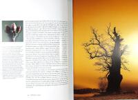 QUERCUS &ndash; Ekens m&aring;ngfald