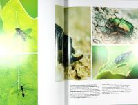 QUERCUS &ndash; Ekens m&aring;ngfald