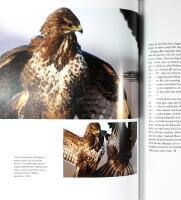 QUERCUS &ndash; Ekens m&aring;ngfald