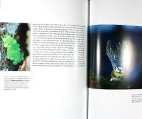 QUERCUS &ndash; Ekens m&aring;ngfald