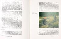 VILDSVIN &ndash; Beteende och jakt