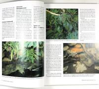 ORMAR &Ouml;DLOR SK&Ouml;LDPADDOR och andra djur i terrariet