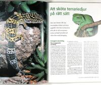 ORMAR &Ouml;DLOR SK&Ouml;LDPADDOR och andra djur i terrariet