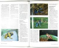 ORMAR &Ouml;DLOR SK&Ouml;LDPADDOR och andra djur i terrariet