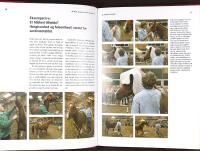 HESTEPERSONLIGHEDER &ndash; Vejen til at forst&aring; heste