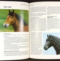 HESTEPERSONLIGHEDER &ndash; Vejen til at forst&aring; heste