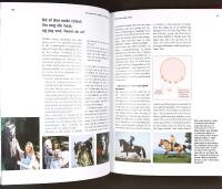 HESTEPERSONLIGHEDER &ndash; Vejen til at forst&aring; heste