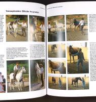 HESTEPERSONLIGHEDER &ndash; Vejen til at forst&aring; heste