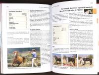 HESTEPERSONLIGHEDER &ndash; Vejen til at forst&aring; heste