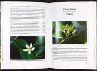 KULTURV&Auml;XTER I KRUKA &ndash; Ett historiskt, kulturellt och kulinariskt &auml;ventyr