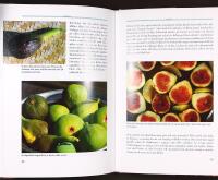 KULTURV&Auml;XTER I KRUKA &ndash; Ett historiskt, kulturellt och kulinariskt &auml;ventyr