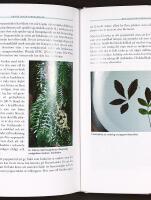 KULTURV&Auml;XTER I KRUKA &ndash; Ett historiskt, kulturellt och kulinariskt &auml;ventyr