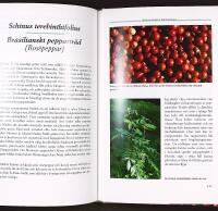 KULTURV&Auml;XTER I KRUKA &ndash; Ett historiskt, kulturellt och kulinariskt &auml;ventyr