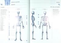 ANATOMI F&Ouml;R KONSTN&Auml;RER &ndash; Den kompletta handledningentill att teckna m&auml;nniskokroppen