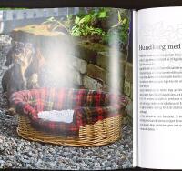 SY & STICKA TILL HUNDEN &ndash; Med m&ouml;nsterbilaga