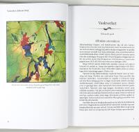 VASKVERKET I JOHANNESBORG &ndash; Koboltbrytning i historisk tid