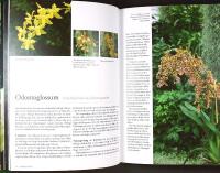 ORKID&Eacute;ER &ndash; En f&ouml;r&auml;lskelse