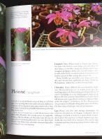 ORKID&Eacute;ER &ndash; En f&ouml;r&auml;lskelse