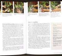 ORKID&Eacute;ER &ndash; En f&ouml;r&auml;lskelse