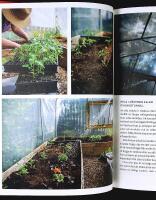 TOMATER &ndash; Odla f&ouml;r hela &aring;ret