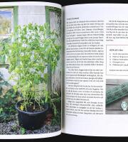 TOMATER &ndash; Odla f&ouml;r hela &aring;ret