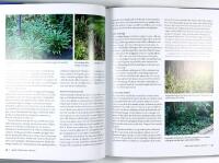 TR&Auml;DG&Aring;RDENS GOLV &ndash; Markt&auml;ckande v&auml;xter och markbel&auml;ggningar