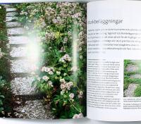 TR&Auml;DG&Aring;RDENS GOLV &ndash; Markt&auml;ckande v&auml;xter och markbel&auml;ggningar