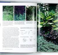 TR&Auml;DG&Aring;RDENS GOLV &ndash; Markt&auml;ckande v&auml;xter och markbel&auml;ggningar