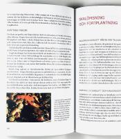 KR&Auml;FTDJUR i hav och sj&ouml;ar &bull; Kr&auml;fta &bull; Hummer &bull; Krabba &bull; R&auml;ka