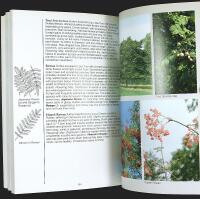 TREES of Britain and Europe &ndash; A Photographic Field Guide