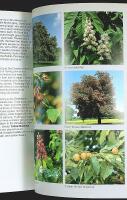 TREES of Britain and Europe &ndash; A Photographic Field Guide