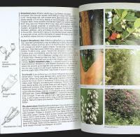 TREES of Britain and Europe &ndash; A Photographic Field Guide
