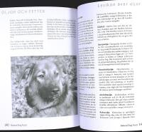 NATURAL DOG FOOD &ndash; R&aring;fodring f&ouml;r hundar &ndash; En praktisk v&auml;gledning
