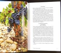 VINLANDET FRANKRIKE &ndash; Trend och tradition