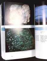 ICELANDIC ROCKS & MINERALS