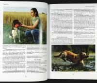 F&Aring;GELHUNDAR &ndash; Dressyr och jakt &ndash; St&aring;ende hundar, Spaniel och Retriever