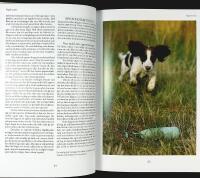 F&Aring;GELHUNDAR &ndash; Dressyr och jakt &ndash; St&aring;ende hundar, Spaniel och Retriever