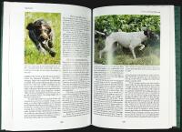 F&Aring;GELHUNDAR &ndash; Dressyr och jakt &ndash; St&aring;ende hundar, Spaniel och Retriever