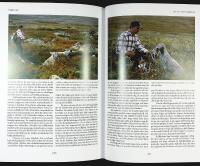 F&Aring;GELHUNDAR &ndash; Dressyr och jakt &ndash; St&aring;ende hundar, Spaniel och Retriever