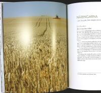 TOSTERUP P&Aring; &Ouml;STERLEN &ndash; historia m&ouml;ter nutid