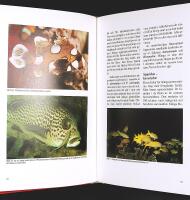 KORALLREVSAKVARIET &ndash; Band 1&ndash;4