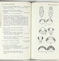 F&auml;ltfauna &ndash; INSEKTER 1 + 2:1 + 2:2