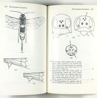 F&auml;ltfauna &ndash; INSEKTER 1 + 2:1 + 2:2