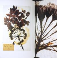 NATURALIESAMLANDET I HISTORIEN