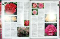 Botanica ROSOR &ndash; Encyklopedi &ouml;ver tr&auml;dg&aring;rds- och vildrosor