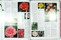 Botanica ROSOR &ndash; Encyklopedi &ouml;ver tr&auml;dg&aring;rds- och vildrosor